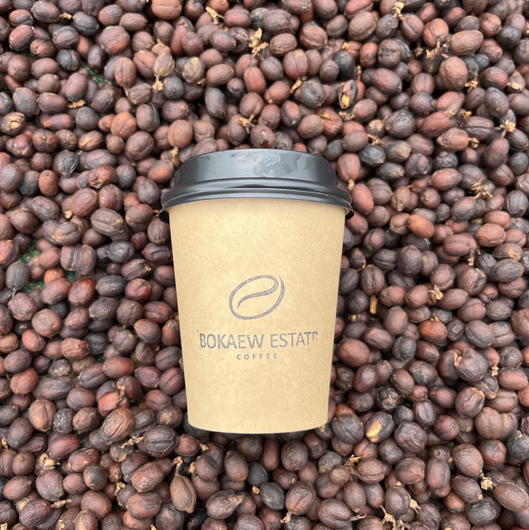 Coffee cup with 'Bokaew Estate Coffee' branding on coffee beans