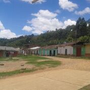 Farm where Colombia Huila coffee beans are grown