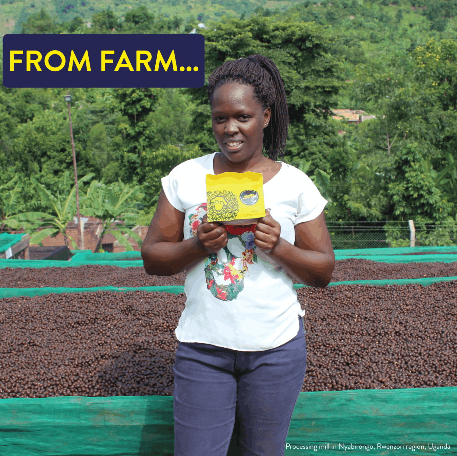 Woman holding a yellow package with coffee beans on a farm, text 'FROM FARM...' at the top.