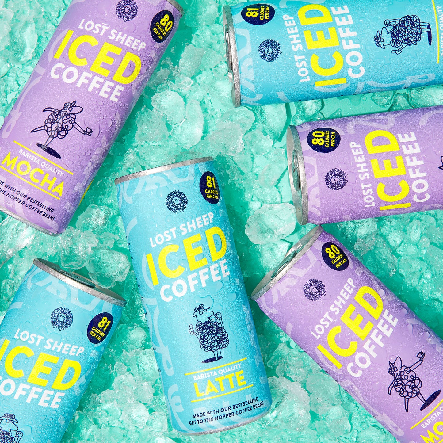 Ready To Drink - Iced Tasterpack