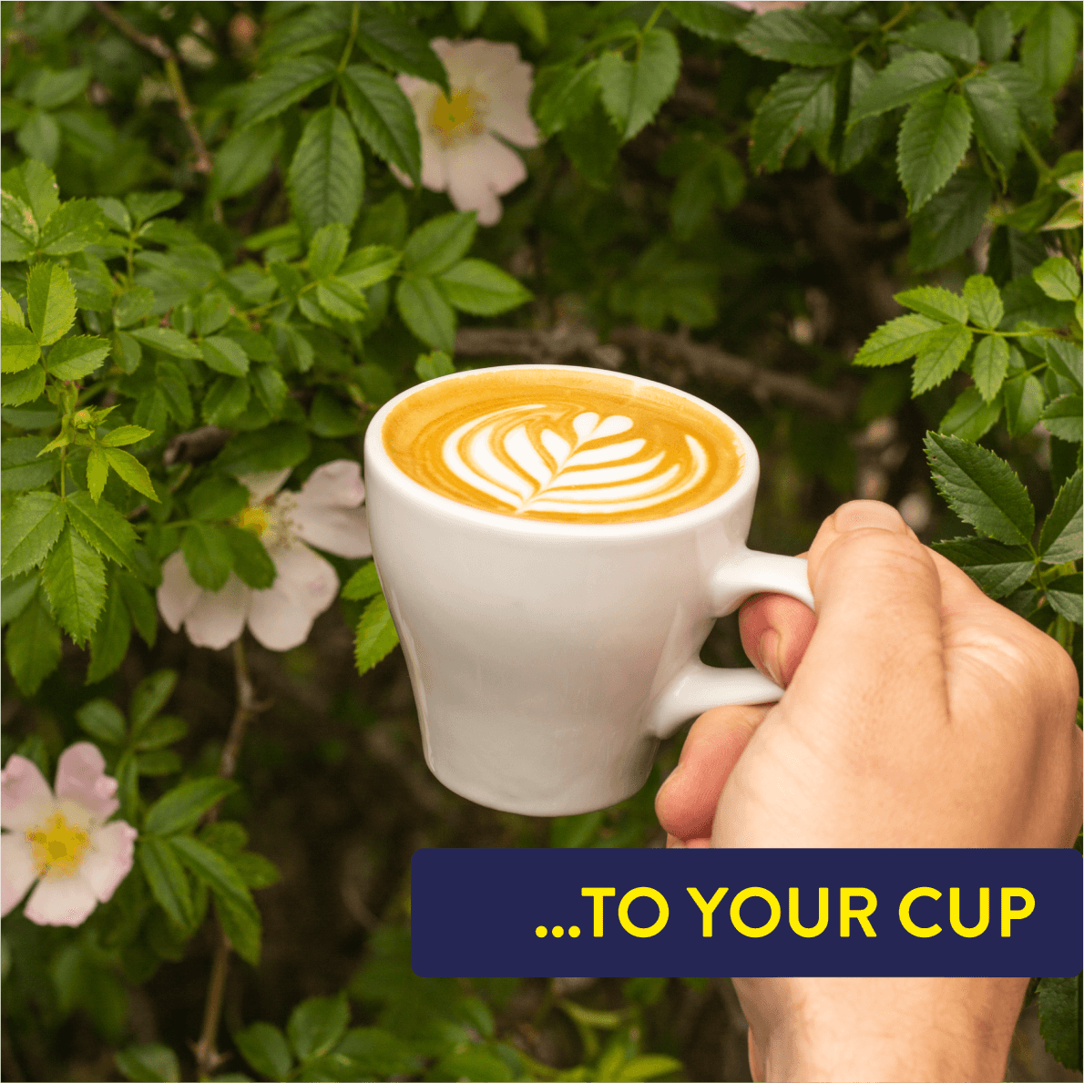 Hand holding a white mug with a cappuccino against a natural background with flowers and leaves.