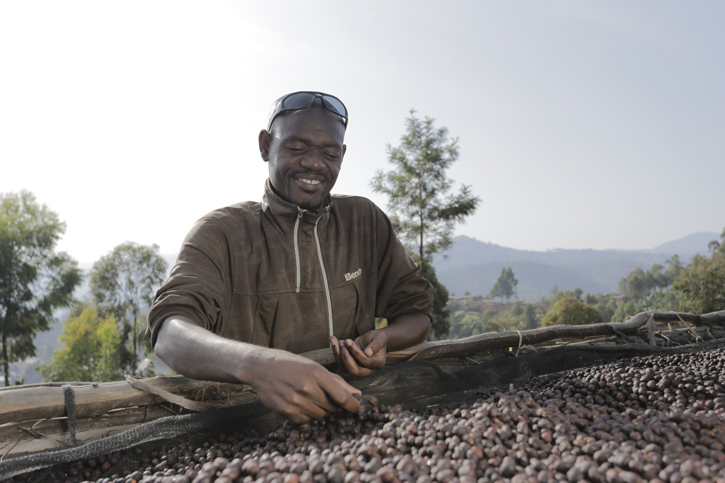 Person checking coffee beans