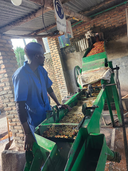 Rwanda Kirunga | Grape, Lemonade, Brown sugar