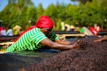Ethiopia Duwancho | lavender, Blueberries, lime