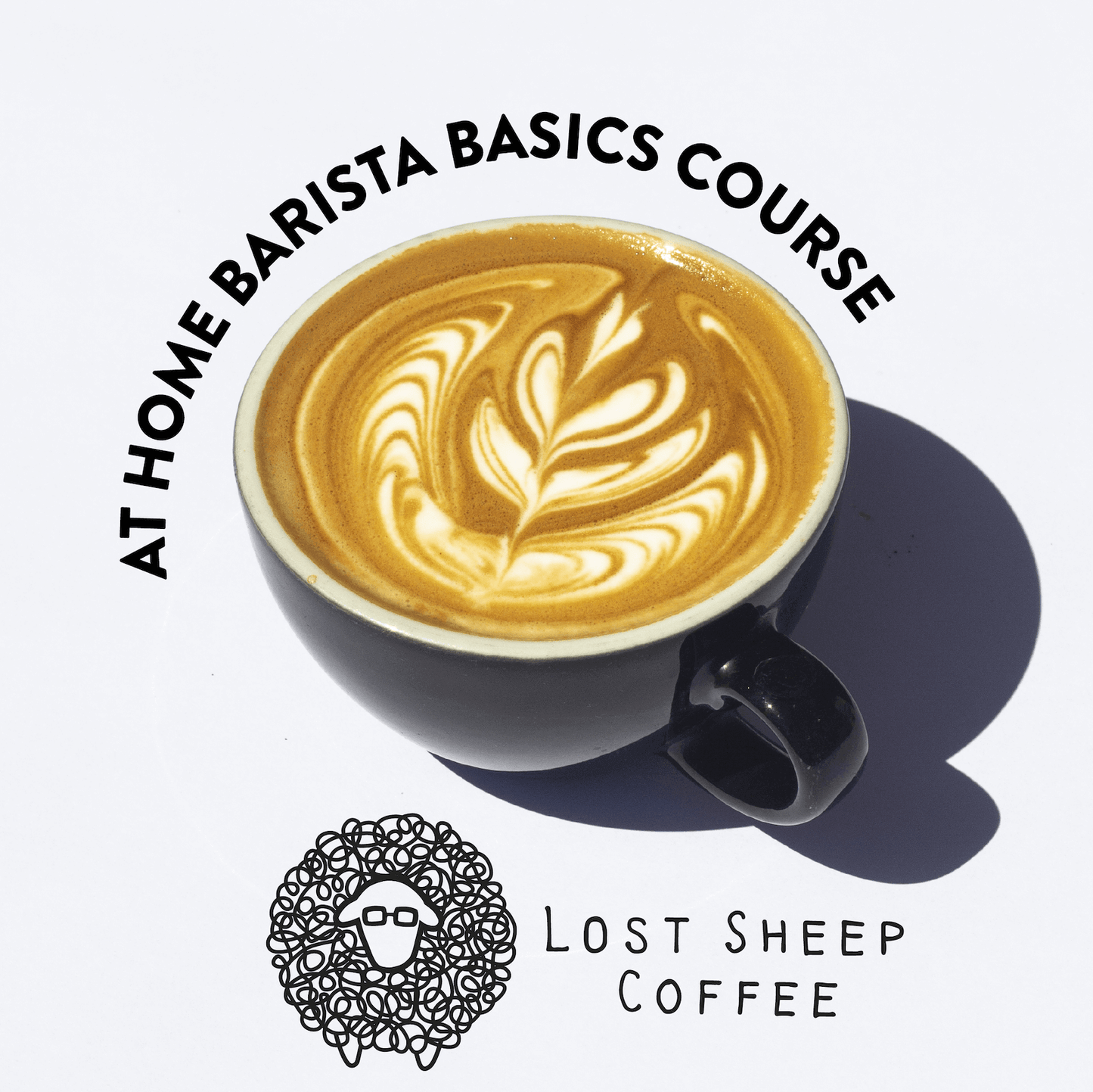 Home Barista Basics Lost Sheep Coffee Experience