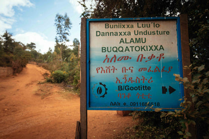 Ethiopia Banko Gotiti | Lavender, Liquorice & Blueberry
