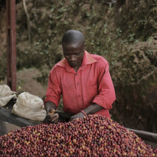 Burundi - Kigina Hill