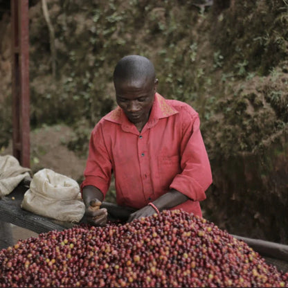 Burundi - Kigina Hill