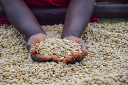 Burundi - Kigina Hill