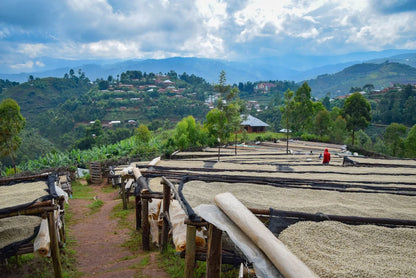 Burundi - Kigina Hill