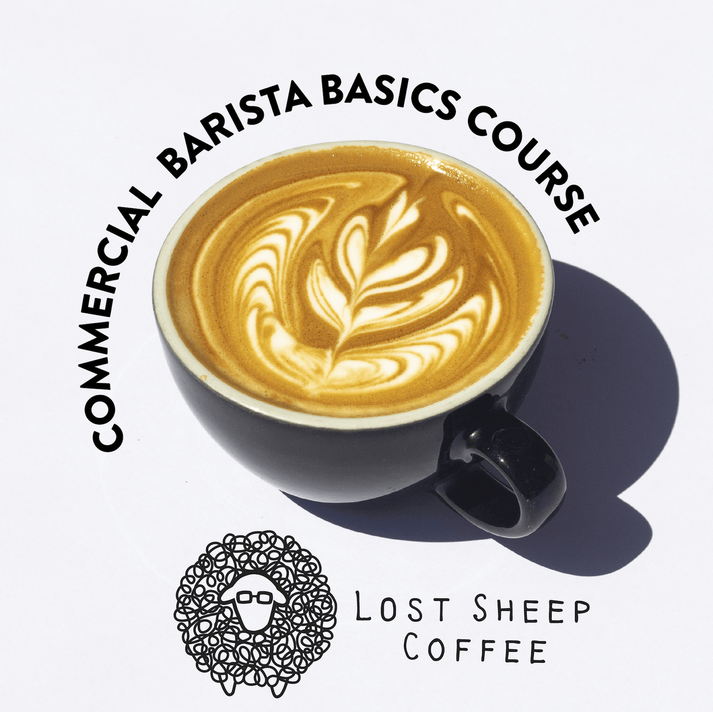 Commerical Barista Basics Lost Sheep Coffee Experience