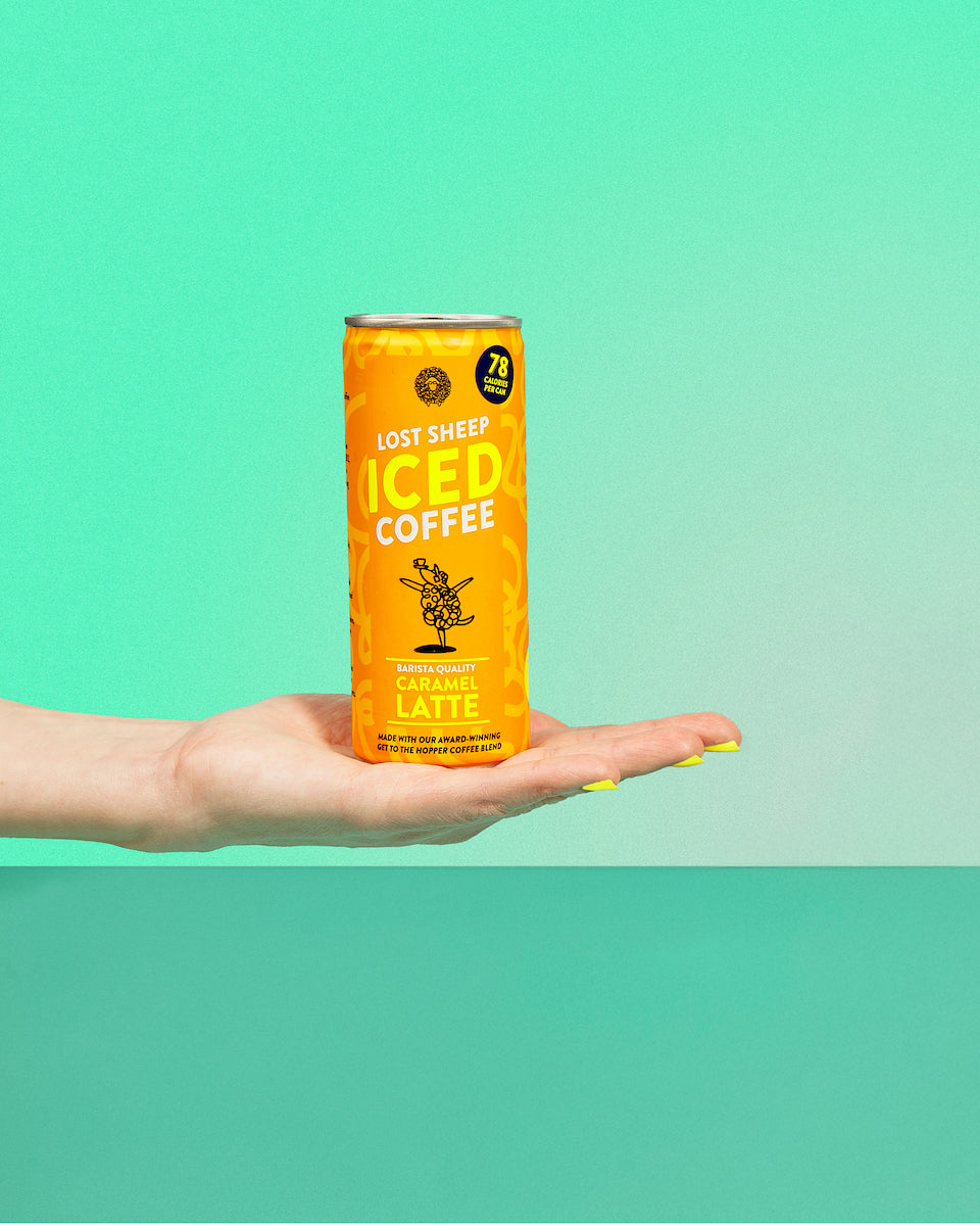 Lost Sheep iced coffee on a hand against a teal background.