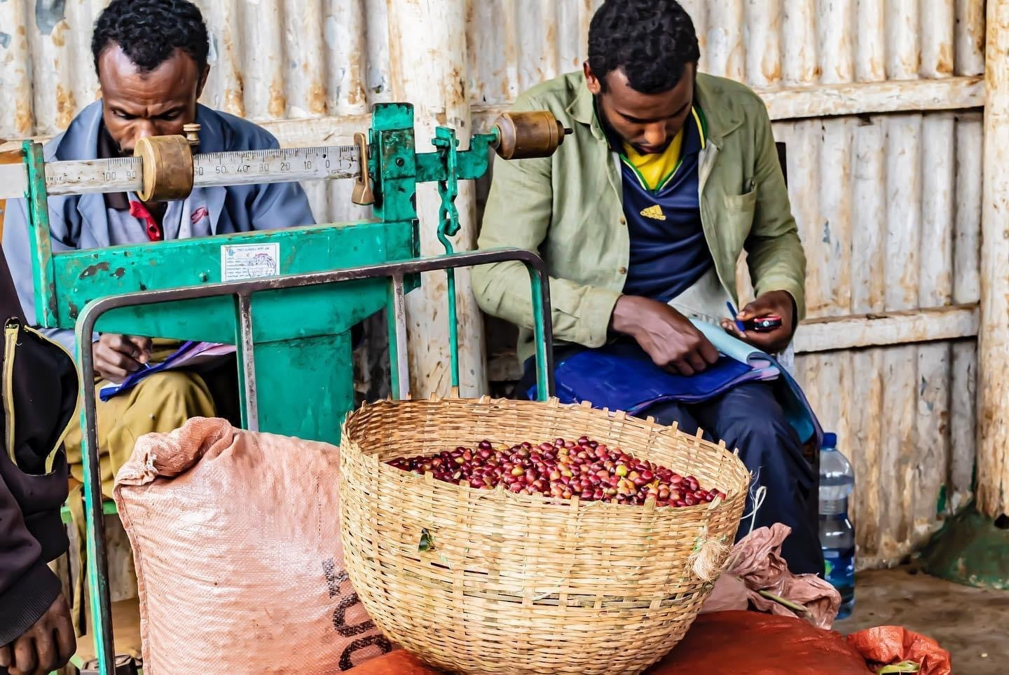 Ethiopia Gigesa | Earl Grey, Blueberries, Complex