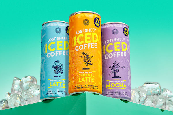 Lost Sheep iced coffee against a teal background.