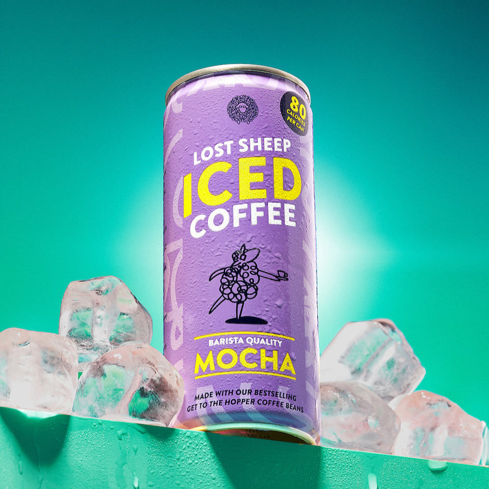 lost sheep iced coffee mocha