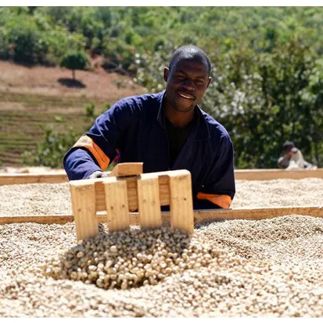 Tanzanian coffee farmer